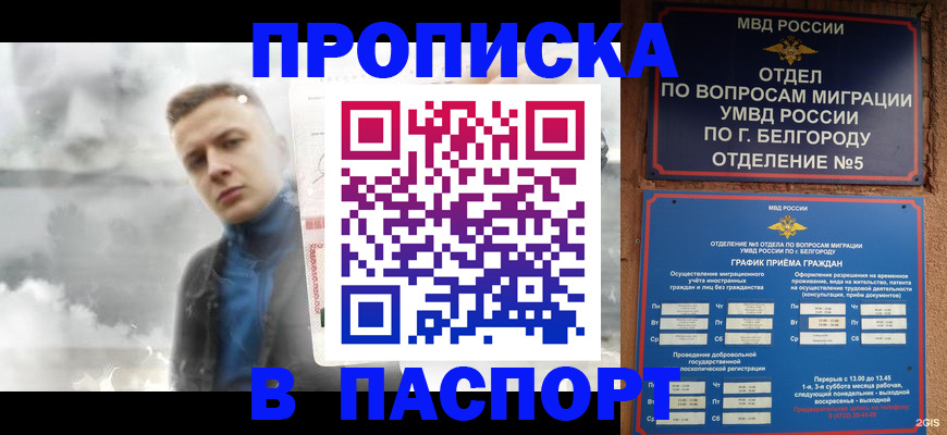 временная регистрация в Асино